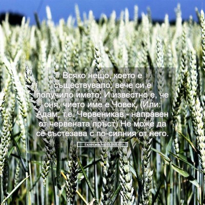Picture 05 - Еклесиаст 6:10 BULG - Всяко нещо, което е - Bible Verse Picture