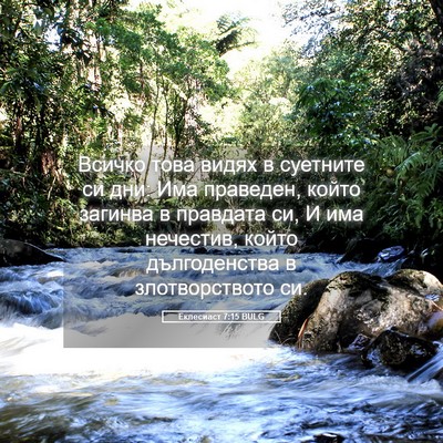 Picture 05 - Еклесиаст 7:15 BULG - Всичко това видях в - Bible Verse Picture