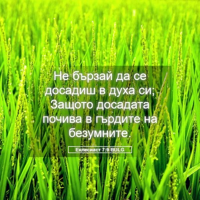 Picture 05 - Еклесиаст 7:9 BULG - Не бързай да се досадиш в - Bible Verse Picture