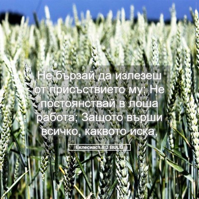 Picture 05 - Еклесиаст 8:3 BULG - Не бързай да излезеш от - Bible Verse Picture