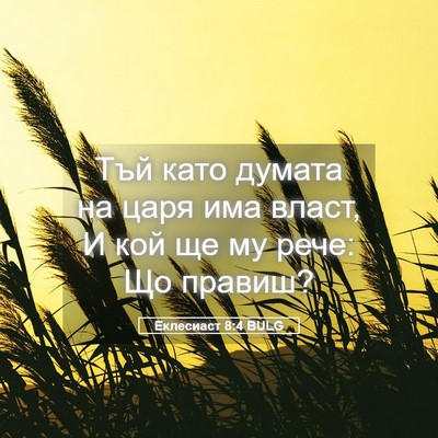 Picture 05 - Еклесиаст 8:4 BULG - Тъй като думата на царя има - Bible Verse Picture