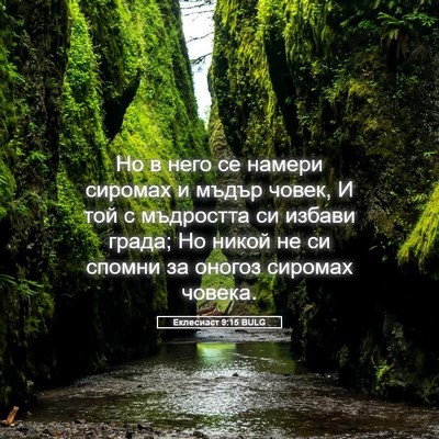 Picture 05 - Еклесиаст 9:15 BULG - Но в него се намери сиромах - Bible Verse Picture