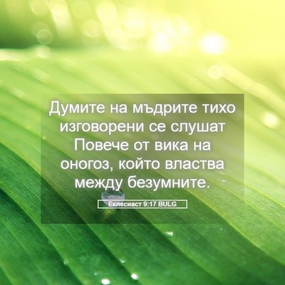 Picture 05 - Еклесиаст 9:17 BULG - Думите на мъдрите тихо - Bible Verse Picture