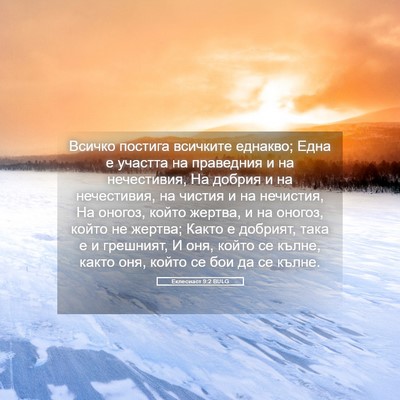 Picture 05 - Еклесиаст 9:2 BULG - Всичко постига всичките - Bible Verse Picture