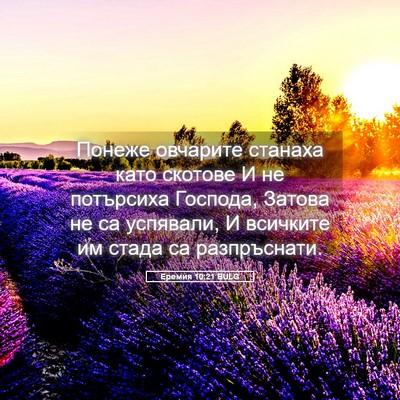 Picture 05 - Еремия 10:21 BULG - Понеже овчарите станаха - Bible Verse Picture
