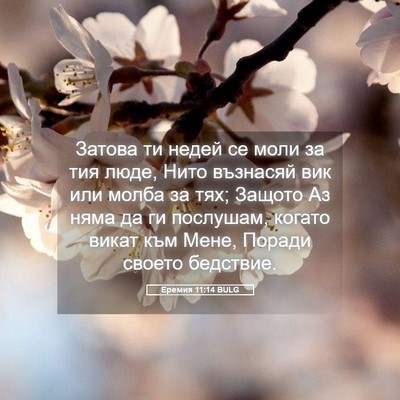 Picture 05 - Еремия 11:14 BULG - Затова ти недей се моли за - Bible Verse Picture
