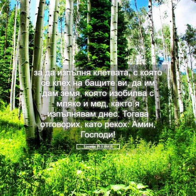 Picture 05 - Еремия 11:5 BULG - за да изпълня клетвата, с - Bible Verse Picture