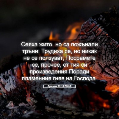 Picture 05 - Еремия 12:13 BULG - Сеяха жито, но са пожънали - Bible Verse Picture