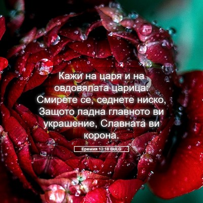 Picture 05 - Еремия 13:18 BULG - Кажи на царя и на - Bible Verse Picture