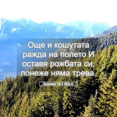 Picture 05 - Еремия 14:5 BULG - Още и кошутата ражда на - Bible Verse Picture