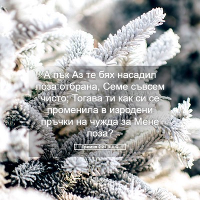 Picture 05 - Еремия 2:21 BULG - А пък Аз те бях насадил - Bible Verse Picture