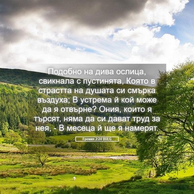 Picture 05 - Еремия 2:24 BULG - Подобно на дива ослица, - Bible Verse Picture
