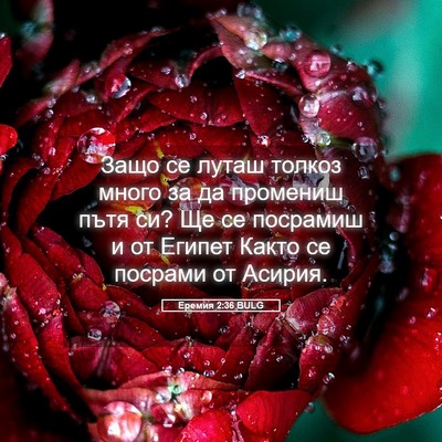 Picture 05 - Еремия 2:36 BULG - Защо се луташ толкоз много - Bible Verse Picture