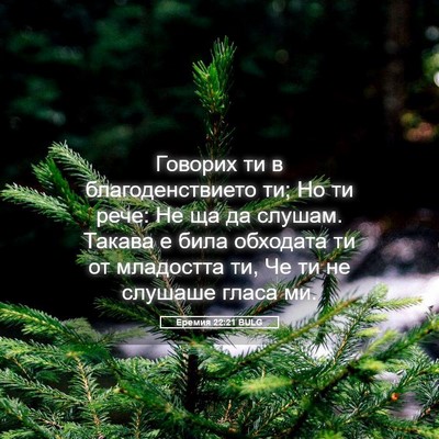 Picture 05 - Еремия 22:21 BULG - Говорих ти в - Bible Verse Picture