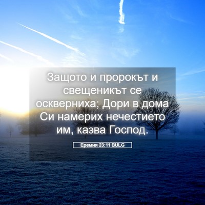 Picture 05 - Еремия 23:11 BULG - Защото и пророкът и - Bible Verse Picture
