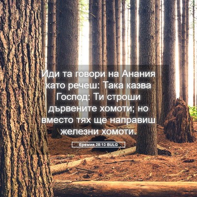 Picture 05 - Еремия 28:13 BULG - Иди та говори на Анания - Bible Verse Picture