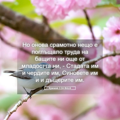 Picture 05 - Еремия 3:24 BULG - Но онова срамотно нещо е - Bible Verse Picture