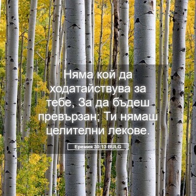 Picture 05 - Еремия 30:13 BULG - Няма кой да ходатайствува - Bible Verse Picture