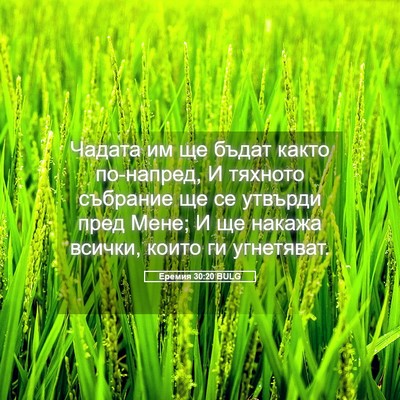 Picture 05 - Еремия 30:20 BULG - Чадата им ще бъдат както - Bible Verse Picture