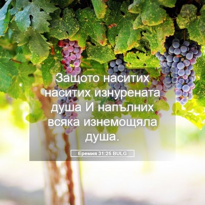 Picture 05 - Еремия 31:25 BULG - Защото наситих наситих - Bible Verse Picture