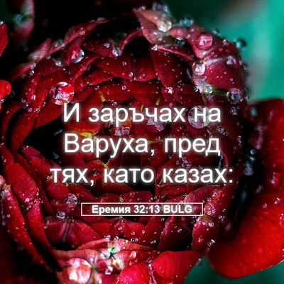 Picture 05 - Еремия 32:13 BULG - И заръчах на Варуха, пред - Bible Verse Picture