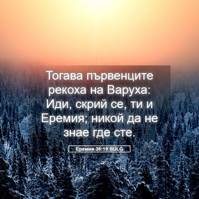 Picture 05 - Еремия 36:19 BULG - Тогава първенците рекоха - Bible Verse Picture