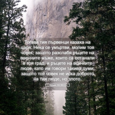 Picture 05 - Еремия 38:4 BULG - Тогава тия първенци казаха - Bible Verse Picture