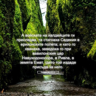Picture 05 - Еремия 39:5 BULG - А войската на халдейците - Bible Verse Picture