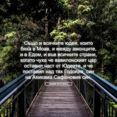 Picture 05 - Еремия 40:11 BULG - Също и всичките юдеи, които - Bible Verse Picture