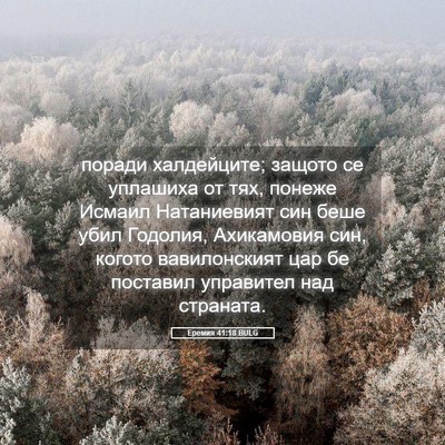 Picture 05 - Еремия 41:18 BULG - поради халдейците; защото - Bible Verse Picture