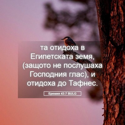 Picture 05 - Еремия 43:7 BULG - та отидоха в Египетската - Bible Verse Picture