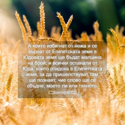 Picture 05 - Еремия 44:28 BULG - А които избягнат от ножа и - Bible Verse Picture