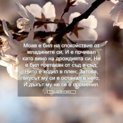 Picture 05 - Еремия 48:11 BULG - Моав е бил на спокойствие - Bible Verse Picture