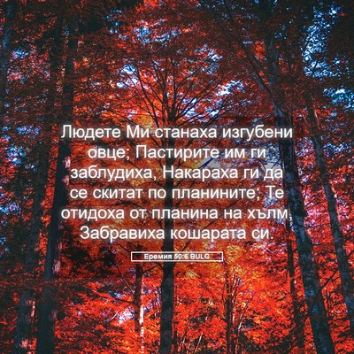Picture 05 - Еремия 50:6 BULG - Людете Ми станаха изгубени - Bible Verse Picture