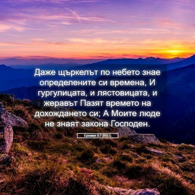 Picture 05 - Еремия 8:7 BULG - Даже щъркелът по небето - Bible Verse Picture