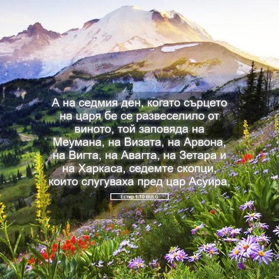 Picture 05 - Естир 1:10 BULG - А на седмия ден, когато - Bible Verse Picture
