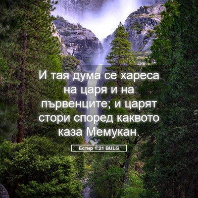 Picture 05 - Естир 1:21 BULG - И тая дума се хареса на - Bible Verse Picture