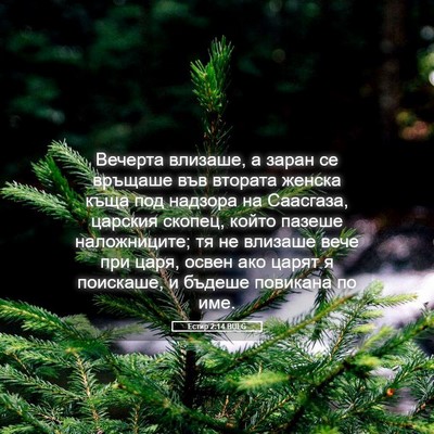 Picture 05 - Естир 2:14 BULG - Вечерта влизаше, а заран се - Bible Verse Picture