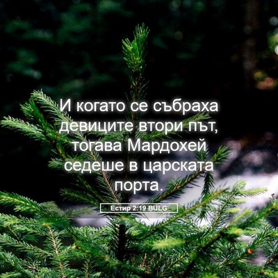 Picture 05 - Естир 2:19 BULG - И когато се събраха - Bible Verse Picture