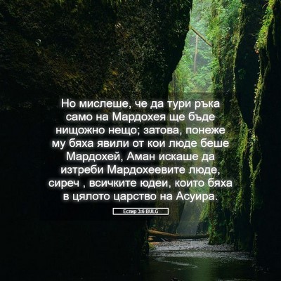 Picture 05 - Естир 3:6 BULG - Но мислеше, че да тури ръка - Bible Verse Picture