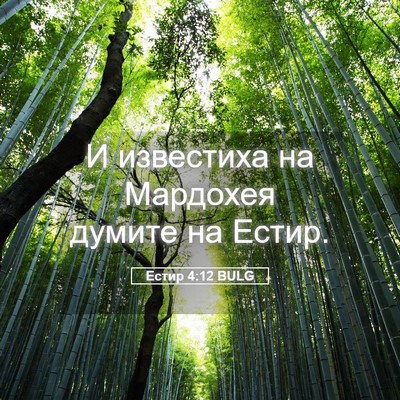 Picture 05 - Естир 4:12 BULG - И известиха на Мардохея - Bible Verse Picture