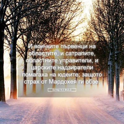 Picture 05 - Естир 9:3 BULG - И всичките първенци на - Bible Verse Picture