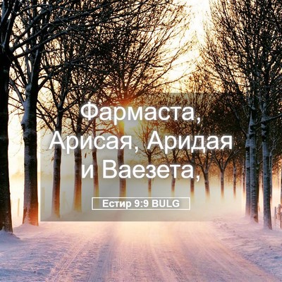 Picture 05 - Естир 9:9 BULG - Фармаста, Арисая, Аридая и - Bible Verse Picture
