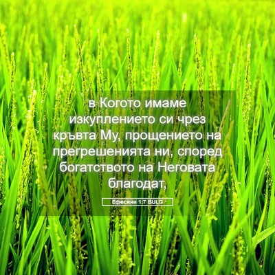 Picture 05 - Ефесяни 1:7 BULG - в Когото имаме - Bible Verse Picture