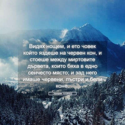 Picture 05 - Захария 1:8 BULG - Видях нощем, и ето човек - Bible Verse Picture