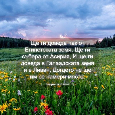 Picture 05 - Захария 10:10 BULG - Ще ги доведа пак от - Bible Verse Picture