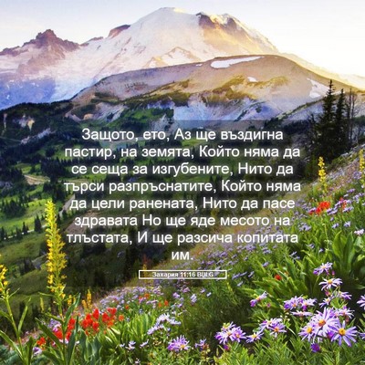Picture 05 - Захария 11:16 BULG - Защото, ето, Аз ще въздигна - Bible Verse Picture