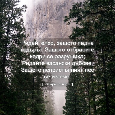 Picture 05 - Захария 11:2 BULG - Ридай, елхо, защото падна - Bible Verse Picture