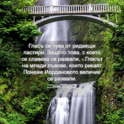 Picture 05 - Захария 11:3 BULG - Гласъ се чува от ридаещи - Bible Verse Picture
