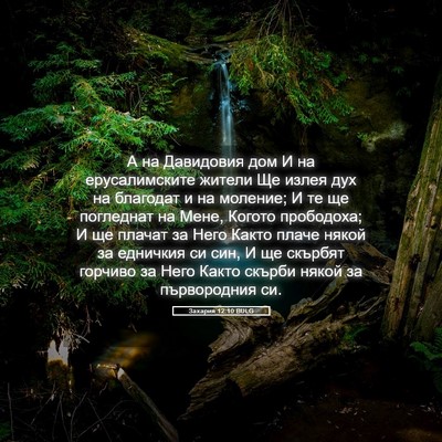 Picture 05 - Захария 12:10 BULG - А на Давидовия дом И на - Bible Verse Picture